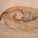 Animais (óleo e aquarelas) thumbnail 1