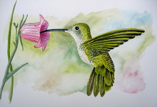 Colibrí Watercolour Paper Animals