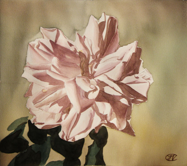 Rosa roja abierta Watercolour Paper Floral Painting