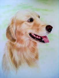 Perro