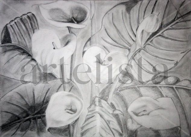 Calas Pencil (Black) Paper Floral Painting