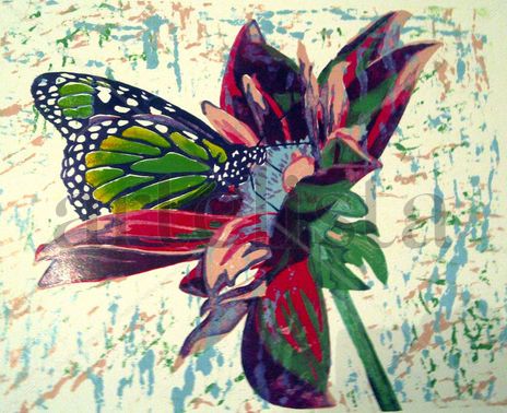 Mariposa en flor -...