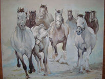 Caballos Salvajes