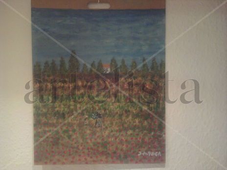 Campo de amapolas