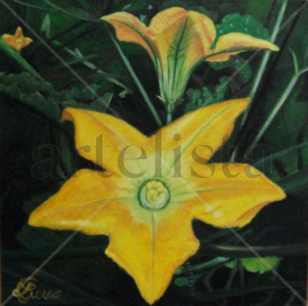 flores de calabacin