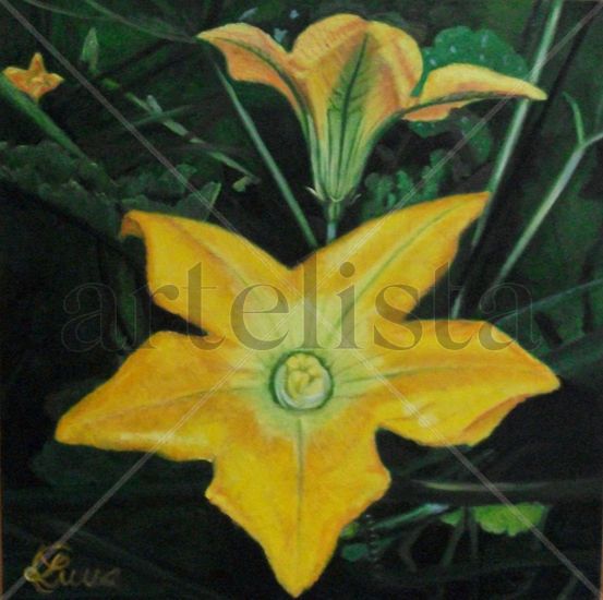 flores de calabacin Oil Canvas Landscaping