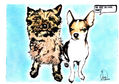 Winnie & Gucci "We are so cool baby!!"