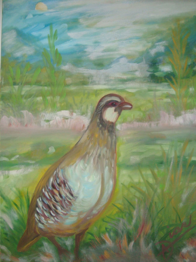 PAJARO PERDIZ