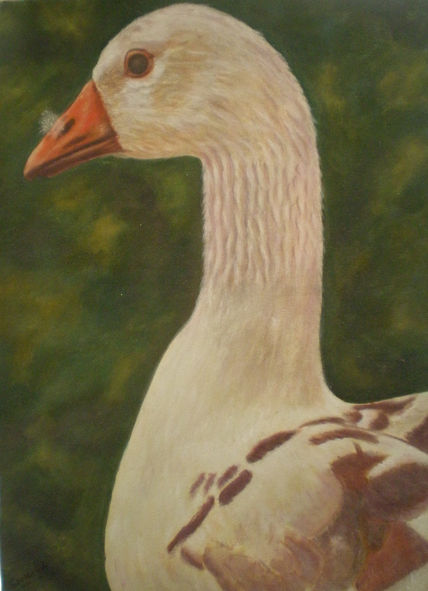 Pato