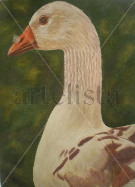 Pato