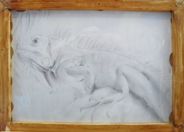 Iguana Pencil