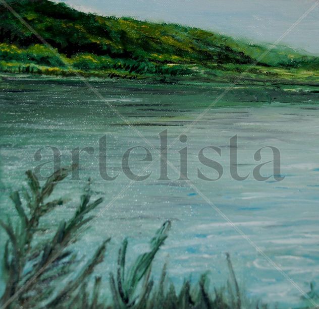 LAGUNA DEL TOBAR