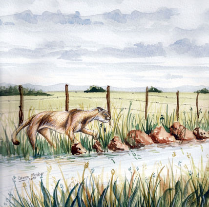 Sendero