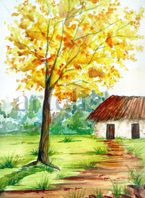 Tajy amarillo