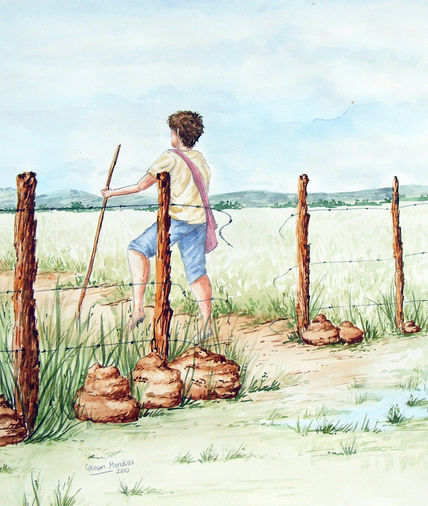 Avanzando