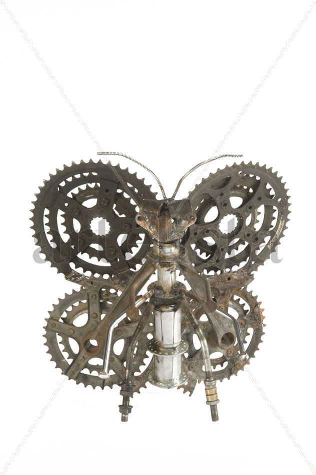 Mariposa