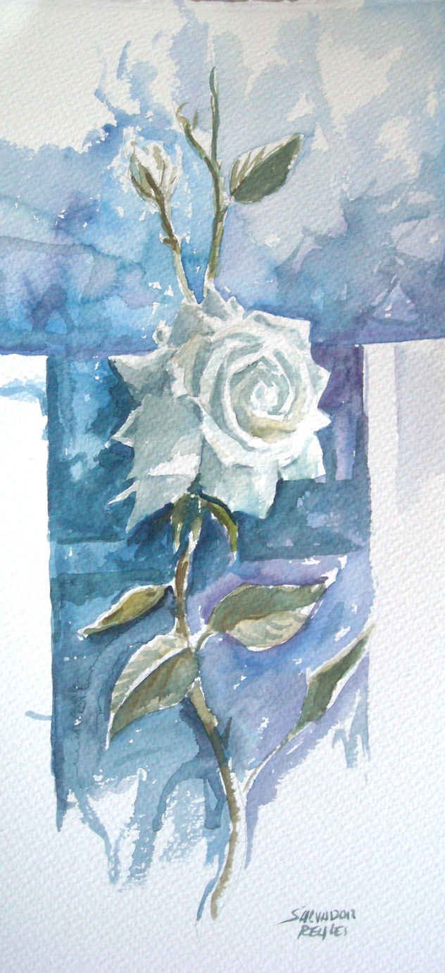 rosas