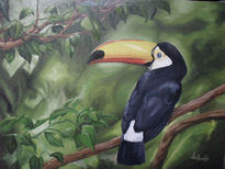 Tucan en bosque...