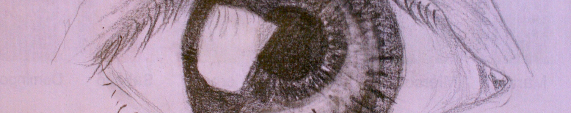 Imagen de portada