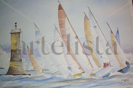 Regata 11