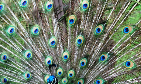Naturaleza
