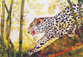 LEOPARDO