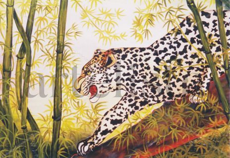 Leopardo