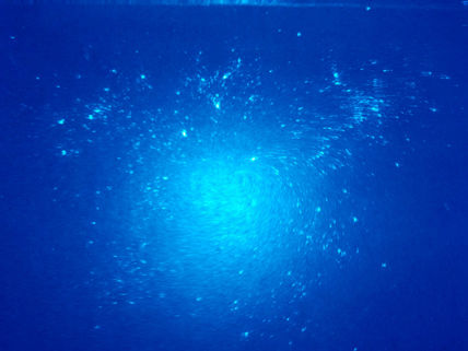 Cumulo de Virgo.
