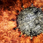 Lintonian thumbnail 1