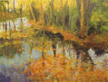 Color y reflejos- 65X54 cm.