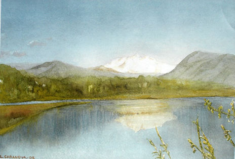 Paisaje patagonico...
