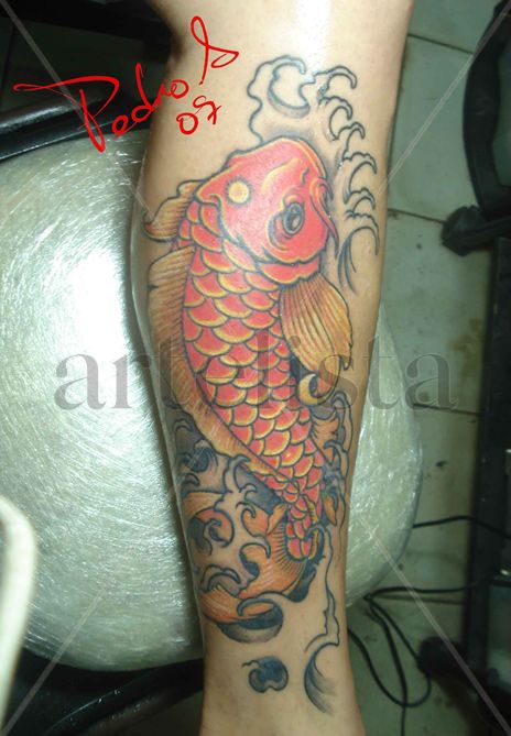 Carpa china 03