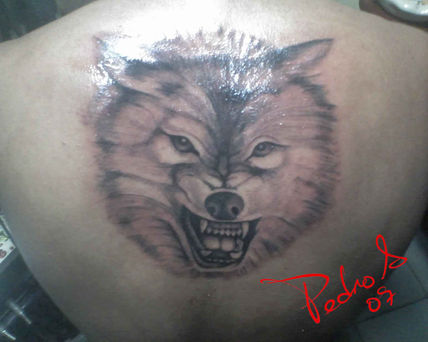 Lobo