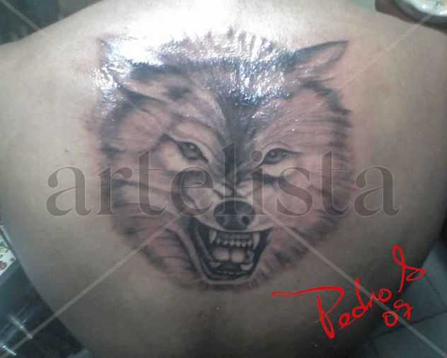 Lobo