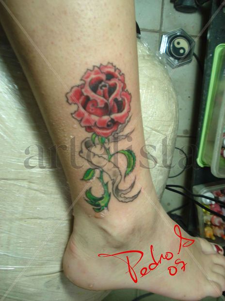 Rosa