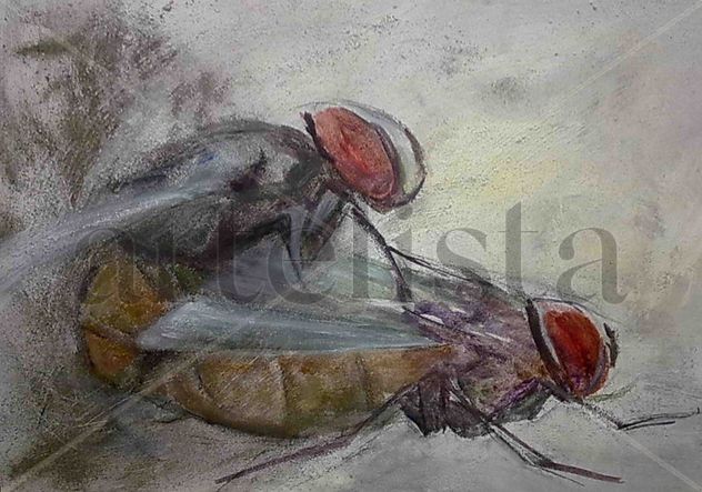 erotic animals and love, mosquisex