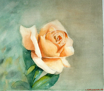 Flores 0303