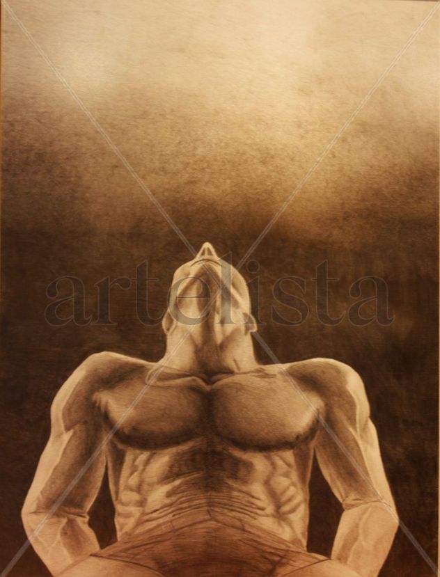 torso