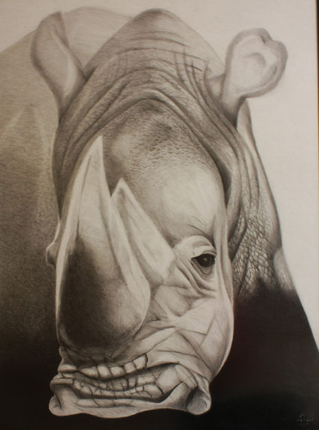Rhino