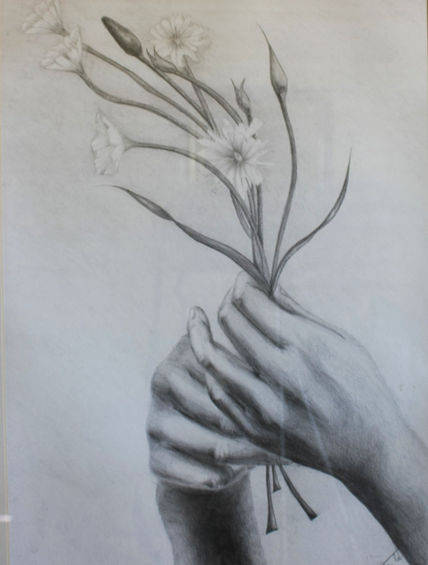 Delicadeza