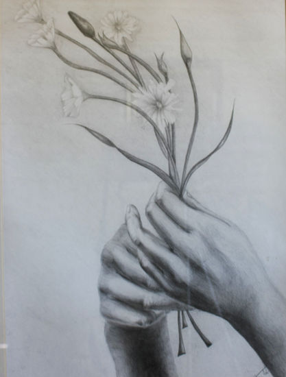 delicadeza Graphite