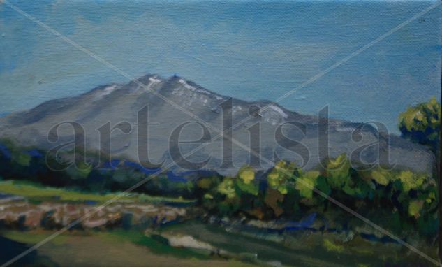 Montseny Acrylic Canvas Landscaping