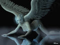 FALLING ANGEL
