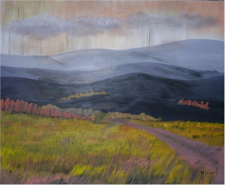 Camino de pajonales