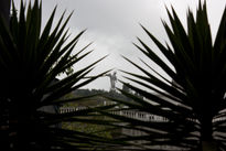 Panecillo