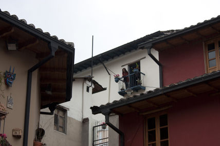 Belleza en la ronda