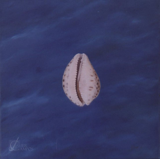 Caracolas sobre el mar II Oil Canvas Marine Painting