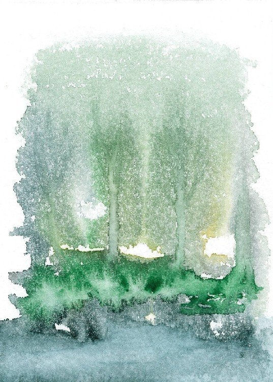 El espíritu en el bosque