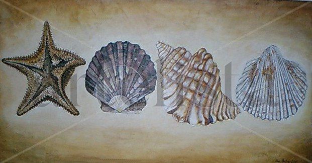 CONCHAS
