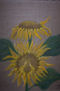 Girasoles